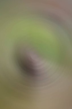 Renksiz desen, kopyalama alanı için arkaplan