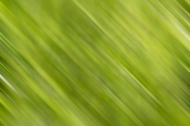 Modern soyut arkaplan, yaratıcı duvar kağıdı tasarımı