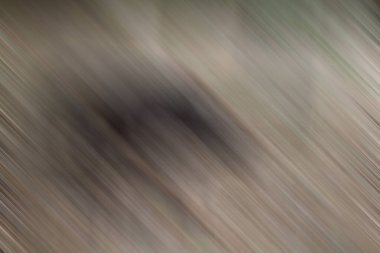 Soyut modern duvar kağıdı, kopyalama alanı olan yaratıcı arkaplan 