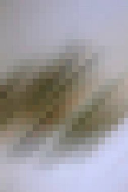 arkaplan, yaratıcı ve tasarım sanat dokusu için soyut renkli desen