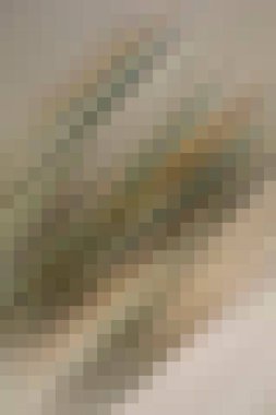 arkaplan, yaratıcı ve tasarım sanat dokusu için soyut renkli desen