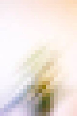 arkaplan, yaratıcı ve tasarım sanat dokusu için soyut renkli desen