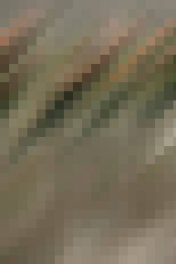 arkaplan, yaratıcı ve tasarım sanat dokusu için soyut renkli desen