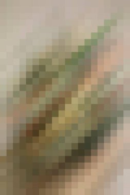 arkaplan, yaratıcı ve tasarım sanat dokusu için soyut renkli desen