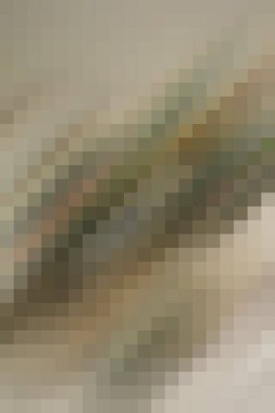 arkaplan, yaratıcı ve tasarım sanat dokusu için soyut renkli desen