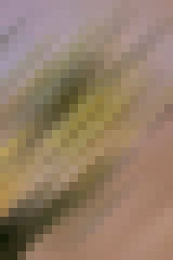 arkaplan, yaratıcı ve tasarım sanat dokusu için soyut renkli desen