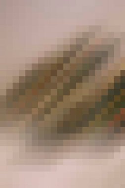 arkaplan, yaratıcı ve tasarım sanat dokusu için soyut renkli desen