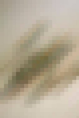 arkaplan, yaratıcı ve tasarım sanat dokusu için soyut renkli desen