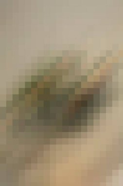 arkaplan, yaratıcı ve tasarım sanat dokusu için soyut renkli desen