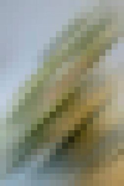 arkaplan, yaratıcı ve tasarım sanat dokusu için soyut renkli desen