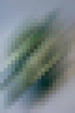 arkaplan, yaratıcı ve tasarım sanat dokusu için soyut renkli desen