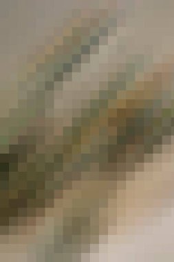 arkaplan, yaratıcı ve tasarım sanat dokusu için soyut renkli desen