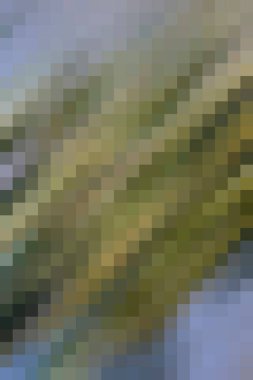 arkaplan, yaratıcı ve tasarım sanat dokusu için soyut renkli desen