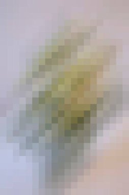 arkaplan, yaratıcı ve tasarım sanat dokusu için soyut renkli desen