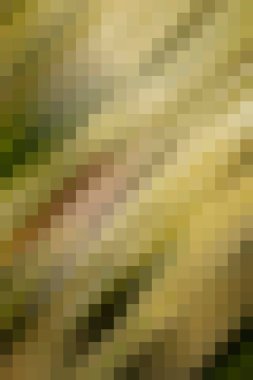 arkaplan, yaratıcı ve tasarım sanat dokusu için soyut renkli desen