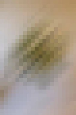 arkaplan, yaratıcı ve tasarım sanat dokusu için soyut renkli desen