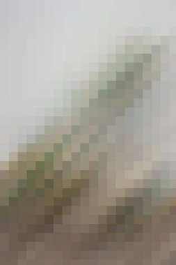 arkaplan, yaratıcı ve tasarım sanat dokusu için soyut renkli desen