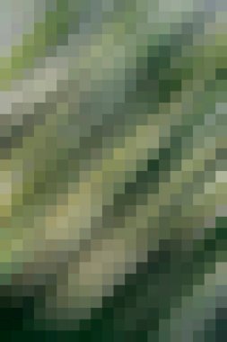 arkaplan, yaratıcı ve tasarım sanat dokusu için soyut renkli desen