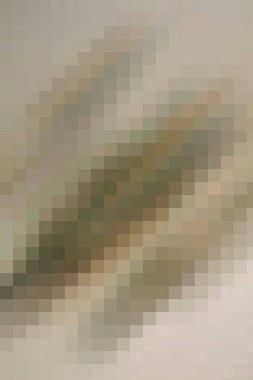 arkaplan, yaratıcı ve tasarım sanat dokusu için soyut renkli desen