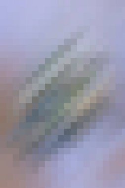 Şablon, yaratıcı ve tasarım sanat dokusu için soyut desen