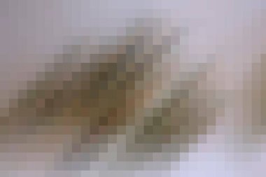 arkaplan, yaratıcı ve tasarım sanat dokusu için soyut renkli desen