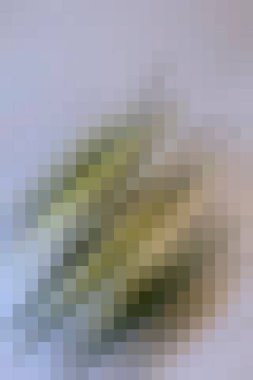 arkaplan, yaratıcı ve tasarım sanat dokusu için soyut renkli desen