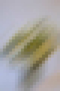 arkaplan, yaratıcı ve tasarım sanat dokusu için soyut renkli desen