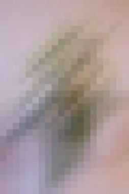 arkaplan, yaratıcı ve tasarım sanat dokusu için soyut renkli desen