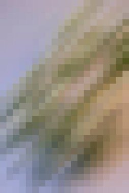 arkaplan, yaratıcı ve tasarım sanat dokusu için soyut renkli desen