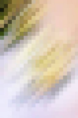 arkaplan, yaratıcı ve tasarım sanat dokusu için soyut renkli desen