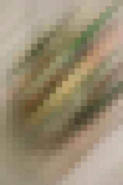 arkaplan, yaratıcı ve tasarım sanat dokusu için soyut renkli desen