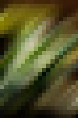 arkaplan, yaratıcı ve tasarım sanat dokusu için soyut renkli desen