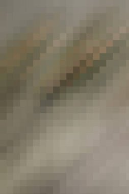 arkaplan, yaratıcı ve tasarım sanat dokusu için soyut renkli desen