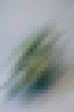 arkaplan, yaratıcı ve tasarım sanat dokusu için soyut renkli desen