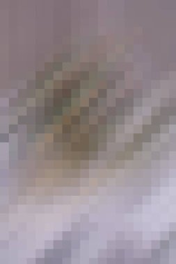 arkaplan, yaratıcı ve tasarım sanat dokusu için soyut renkli desen