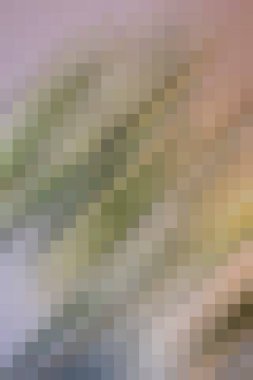 arkaplan, yaratıcı ve tasarım sanat dokusu için soyut renkli desen