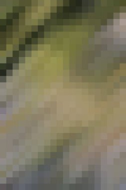 arkaplan, yaratıcı ve tasarım sanat dokusu için soyut renkli desen