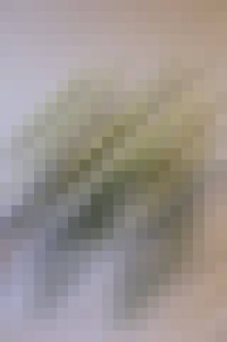 arkaplan, yaratıcı ve tasarım sanat dokusu için soyut renkli desen