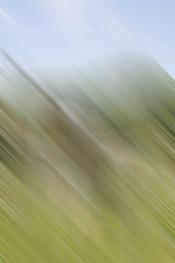 kopyalama alanı için yaratıcı tasarım arkaplanı 