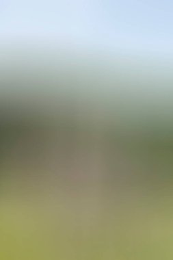 Soyut modern duvar kağıdı, kopyalama alanı olan yaratıcı arkaplan  