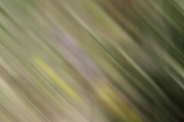 kopyalama alanı için yaratıcı tasarım arkaplanı 