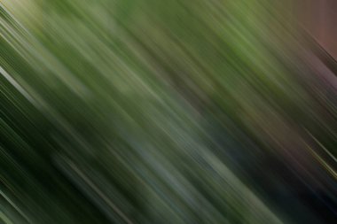 kopyalama alanı için modern kalıp, yaratıcı arkaplan 