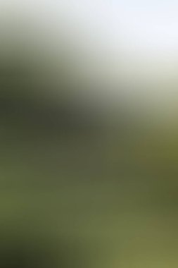 Soyut modern duvar kağıdı, kopyalama alanı olan yaratıcı arkaplan  