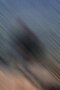 kopyalama alanı için modern kalıp, yaratıcı arkaplan 