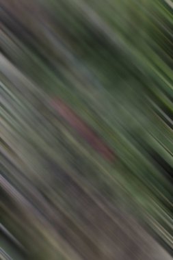 Soyut modern duvar kağıdı, kopyalama alanı olan yaratıcı arkaplan  