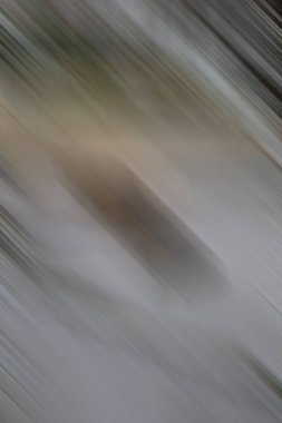 Kopyalama alanı için modern şablon, yaratıcı arkaplan 