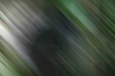 Kopyalama alanı için modern şablon, yaratıcı arkaplan 