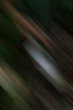 soyut modern duvar kağıdı, kopyalama alanı için yaratıcı arkaplan 