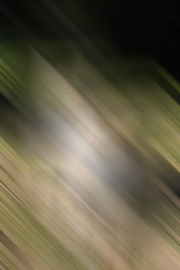 Soyut modern duvar kağıdı, kopyalama alanı olan yaratıcı arkaplan  