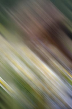 Soyut modern duvar kağıdı, kopyalama alanı olan yaratıcı arkaplan 